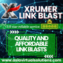 Advertise your website with our XRUMER 125x125 link blast, enhancing your SEO through strategic link building services.
